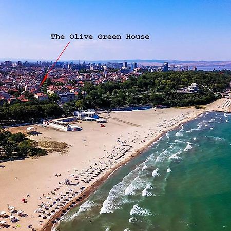 The Olive Green House بورغاس المظهر الخارجي الصورة